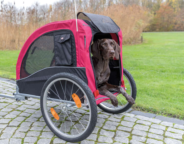 TRIXIE Fahrrad-Anhänger für Hunde